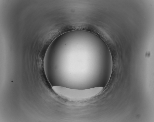 X0000090470025200707201404