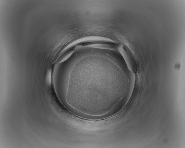 X0000090470027200707201404