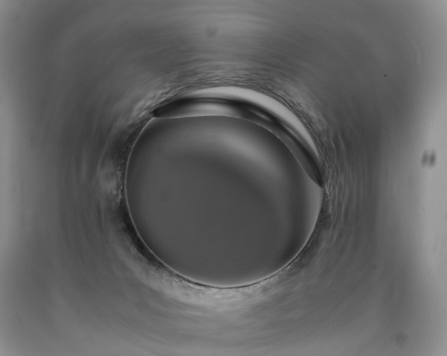 X0000090470031200707201404