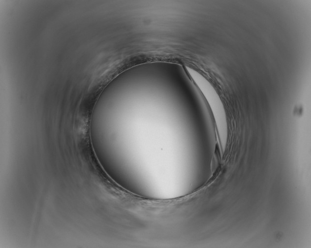 X0000090470033200707201404