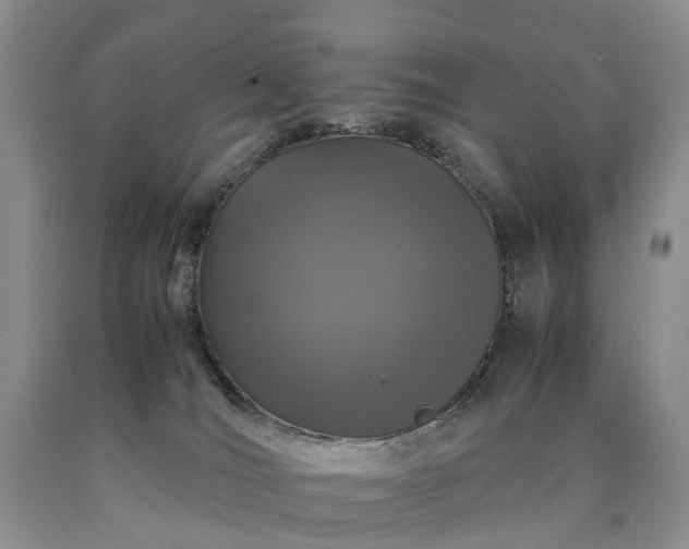 X0000090470036200707201404