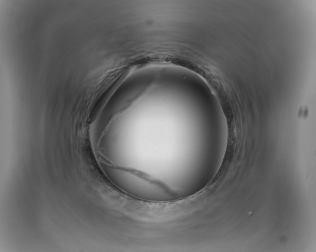 X0000090470037200707201404