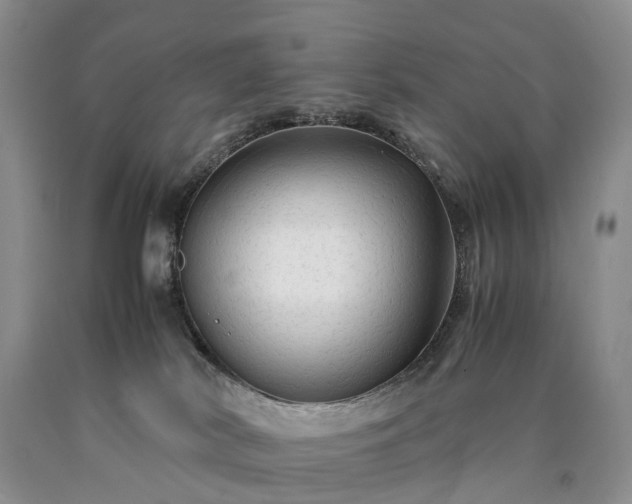 X0000090470038200707201404