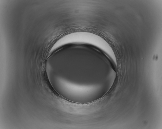 X0000090470039200707201404