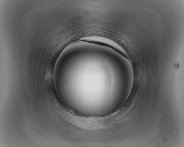 X0000090470040200707201404