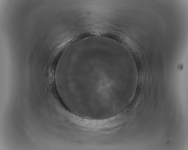 X0000090470043200707201403