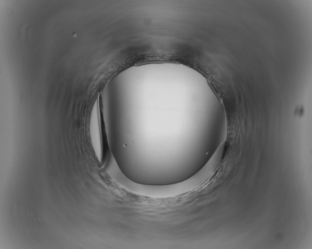 X0000090470045200707201403