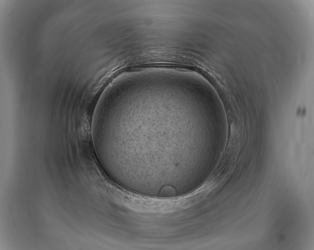 X0000090470048200707201403