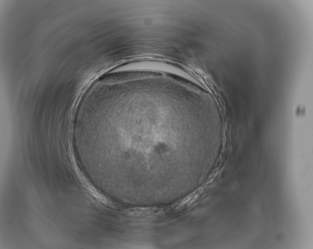 X0000090470049200707201403