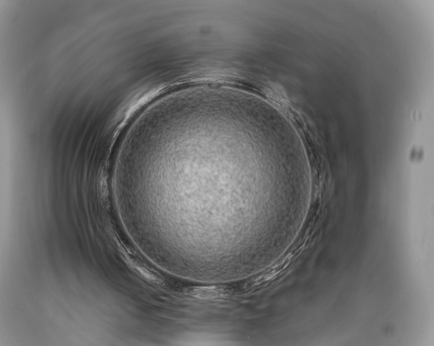 X0000090470050200707201403