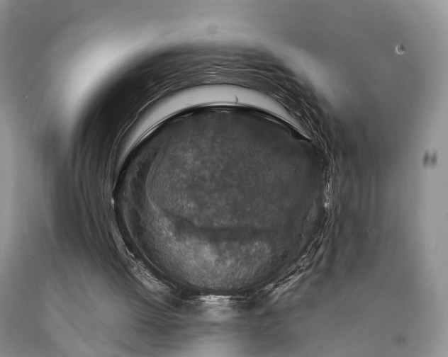 X0000090470052200707201403