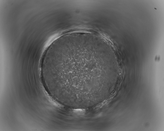 X0000090470053200707201403