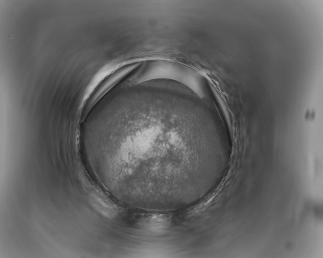 X0000090470056200707201403