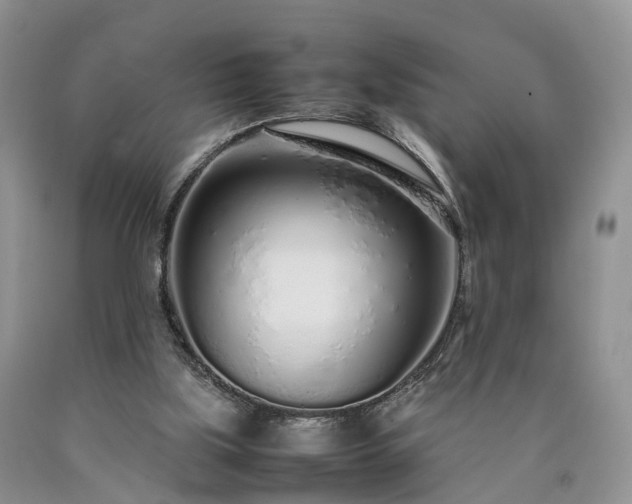 X0000090470059200707201403