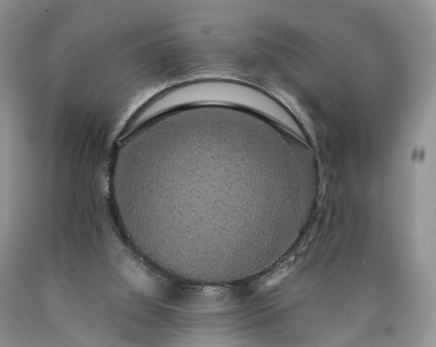 X0000090470060200707201403