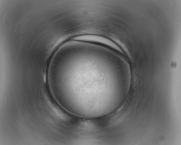 X0000090470062200707201403