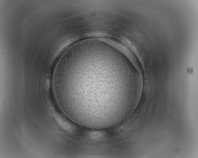 X0000090470063200707201403