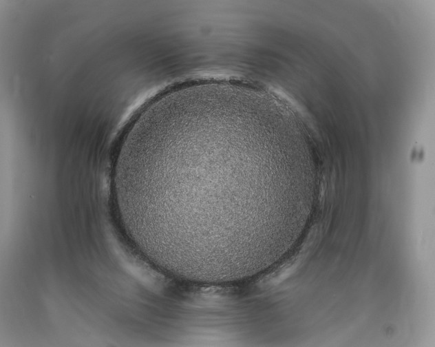 X0000090470064200707201403