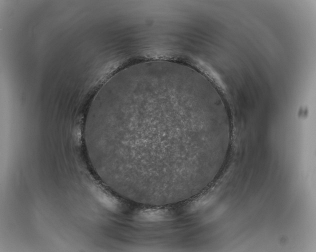 X0000090470065200707201403