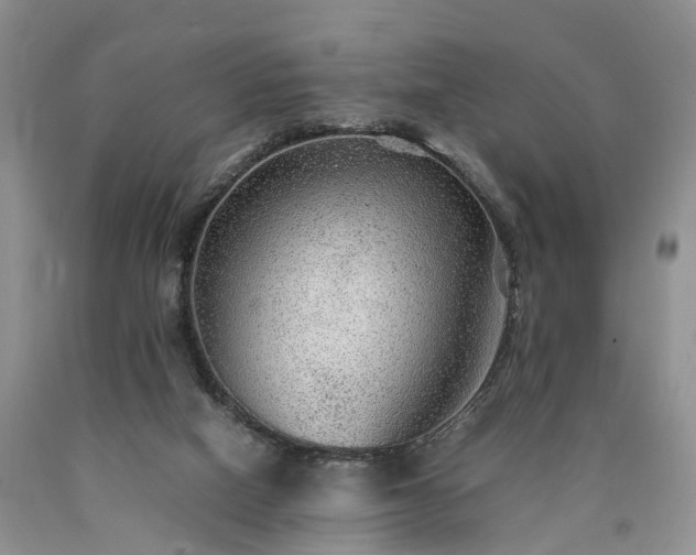 X0000090470066200707201403