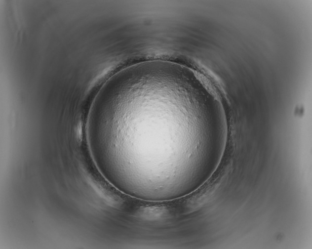 X0000090470067200707201403