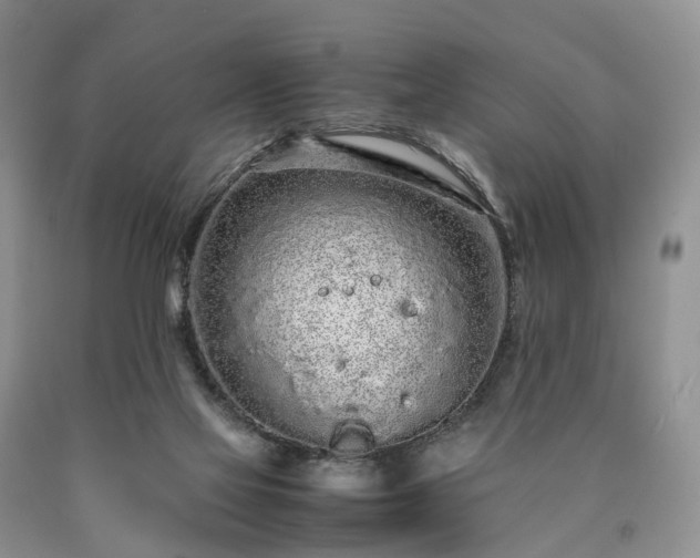 X0000090470069200707201403