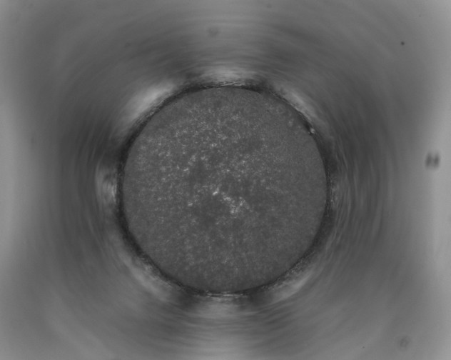 X0000090470072200707201403