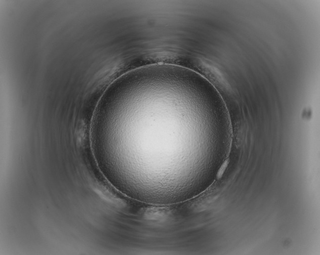 X0000090470077200707201403