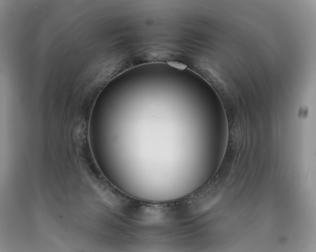 X0000090470079200707201403