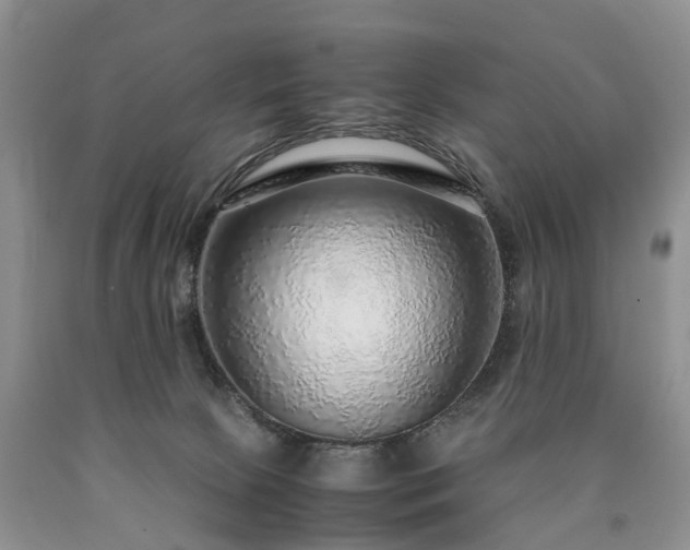 X0000090470081200707201403