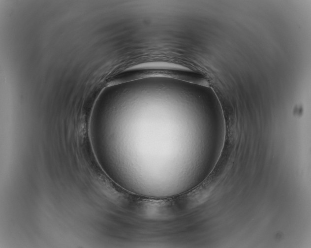 X0000090470085200707201403