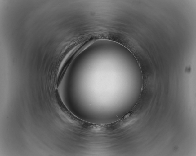 X0000090470088200707201403