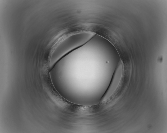 X0000090470092200707201403