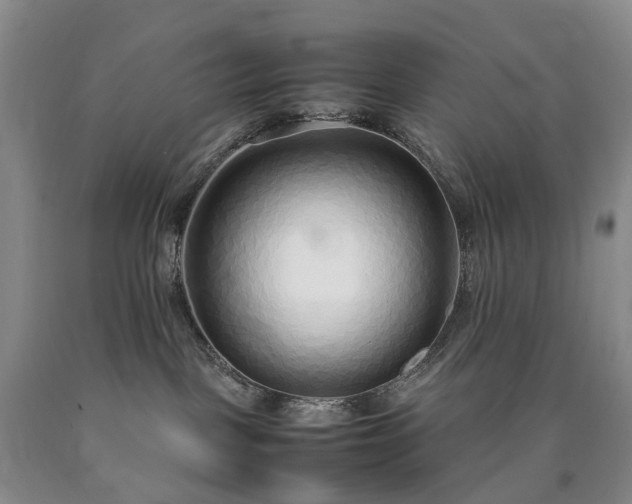 X0000090470093200707201403