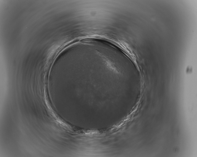 X0000090470097200707201403