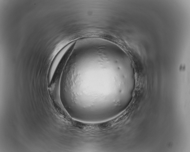 X0000090470099200707201403