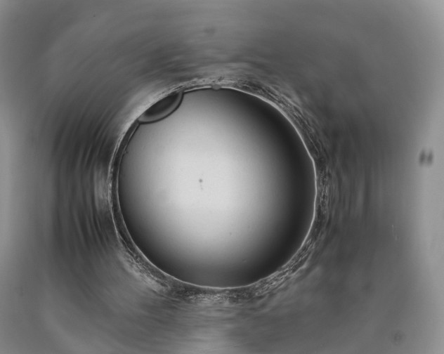 X0000090470100200707201403