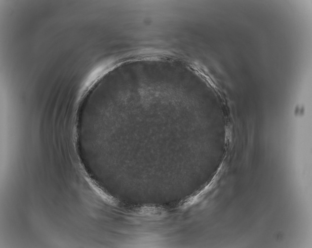 X0000090470101200707201403