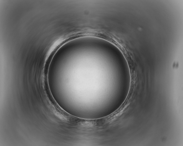 X0000090470102200707201403