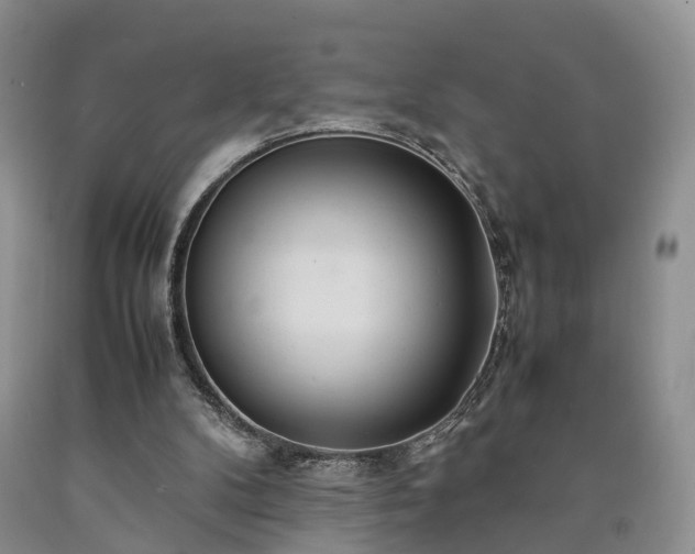 X0000090470104200707201403