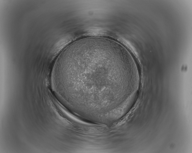 X0000090470105200707201403