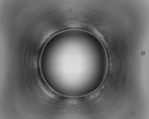 X0000090470106200707201403