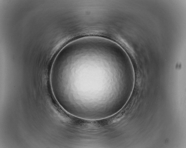 X0000090470107200707201403