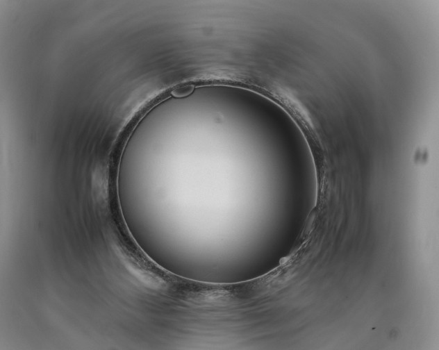 X0000090470108200707201403