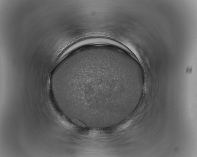 X0000090470109200707201403