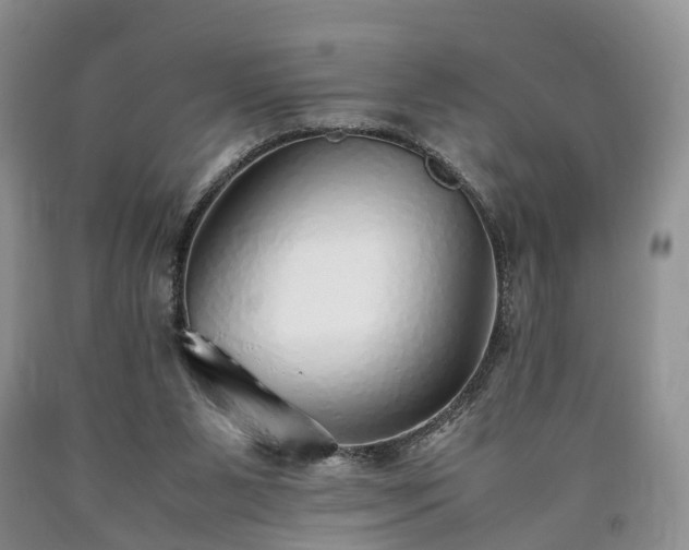 X0000090470111200707201403