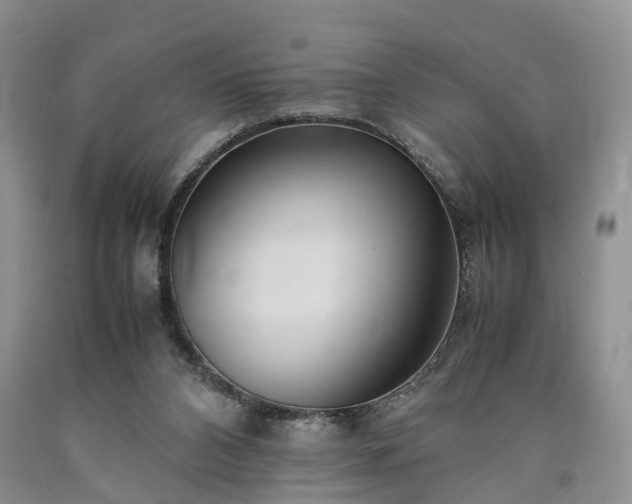 X0000090470112200707201403