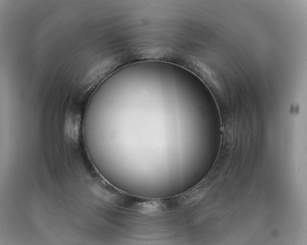 X0000090470118200707201403