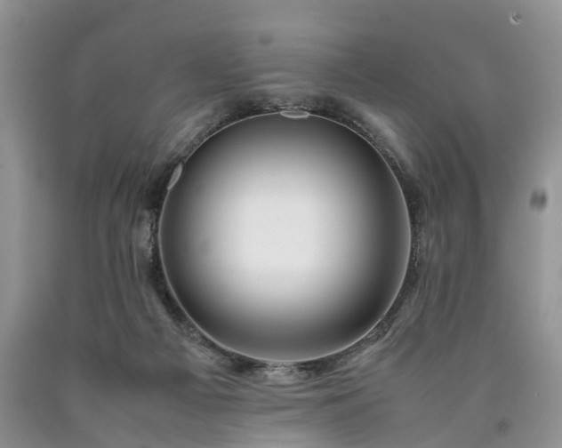 X0000090470121200707201402