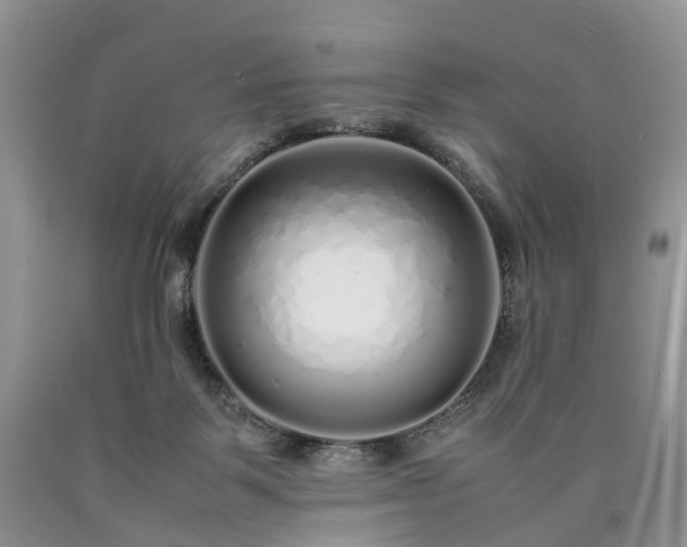 X0000090470123200707201402